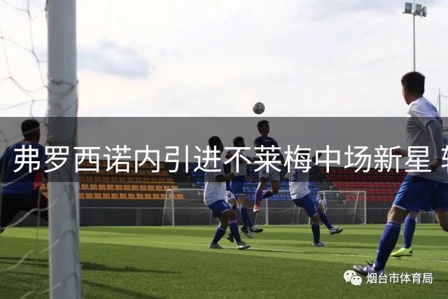 弗罗西诺内引进不莱梅中场新星 转会费或破千万欧元