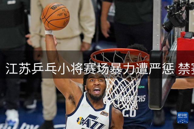 江苏乒乓小将赛场暴力遭严惩 禁赛一年并取消参赛资格